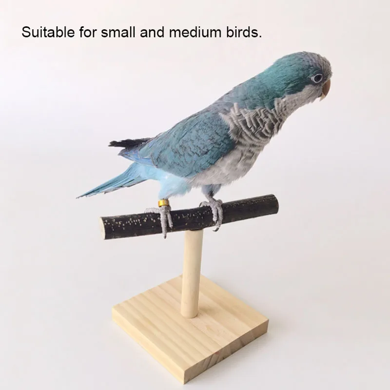Natural Desktop Stand Pet Parr - Desk Setup Wood avaliação e preço