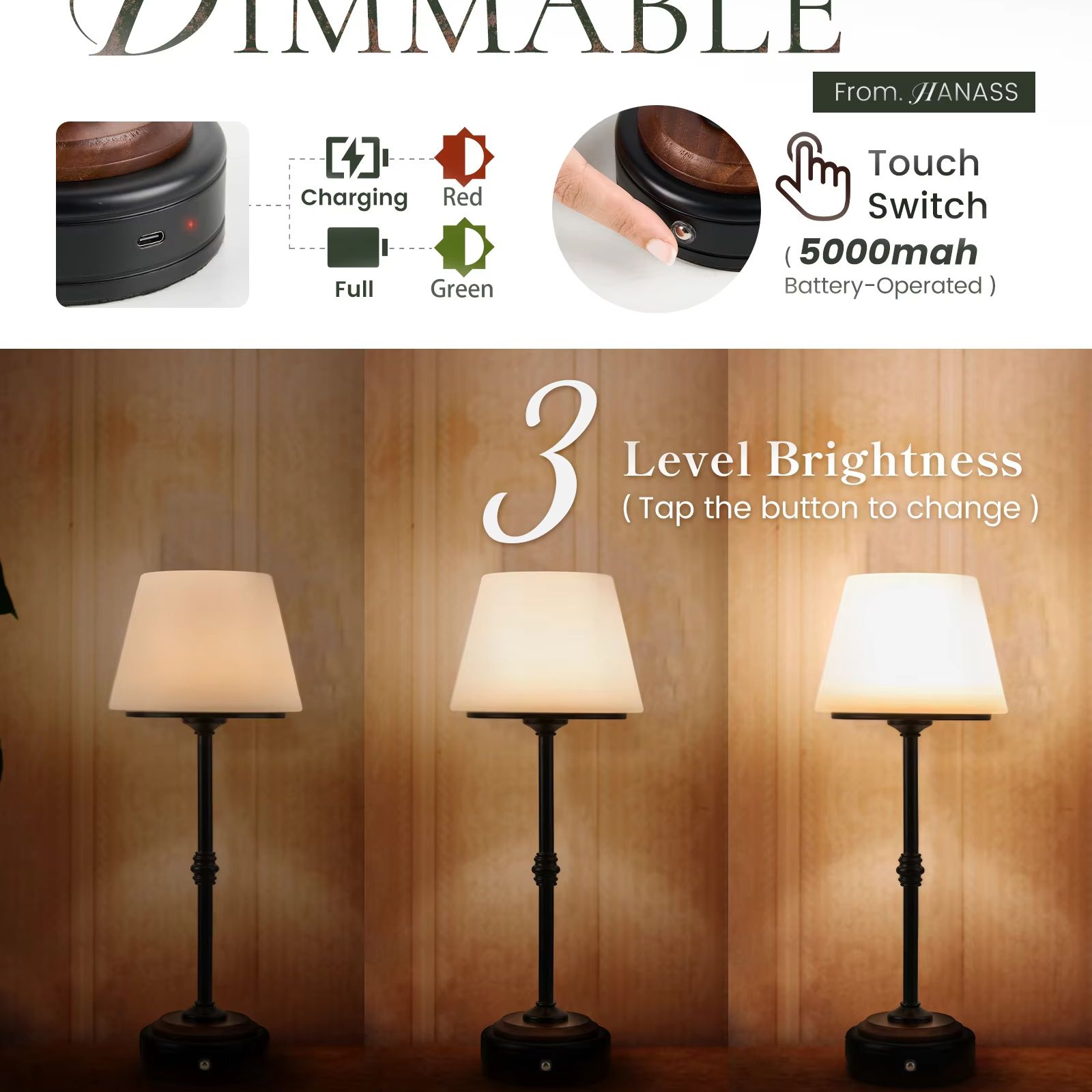 Cordless Table Lamps Set of  5 - Desk Setup Desk avaliação e preço